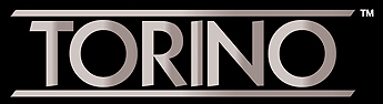 Aldo Domani Torino Logo